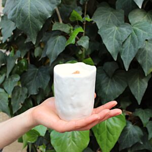 A GARDEN NEW A Garden